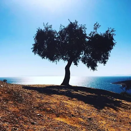 Grandma's House Thassos בית נופש *