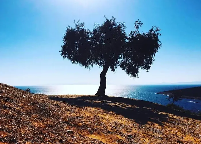 Grandma's House Thassos Ferienhaus *